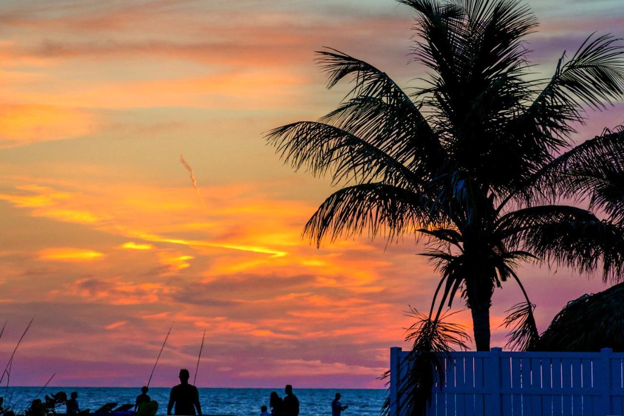 The Palm Condos St. Pete Beach Dış mekan fotoğraf