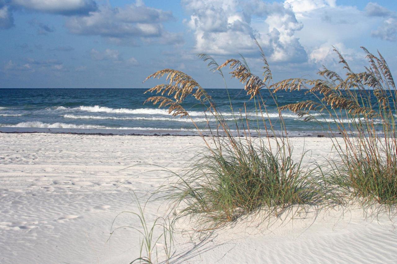 The Palm Condos St. Pete Beach Dış mekan fotoğraf
